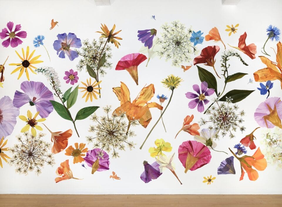 a detail of a large, full-wall installation of numerous flower painting cutouts that resemble giant pressed flowers all along a white wall