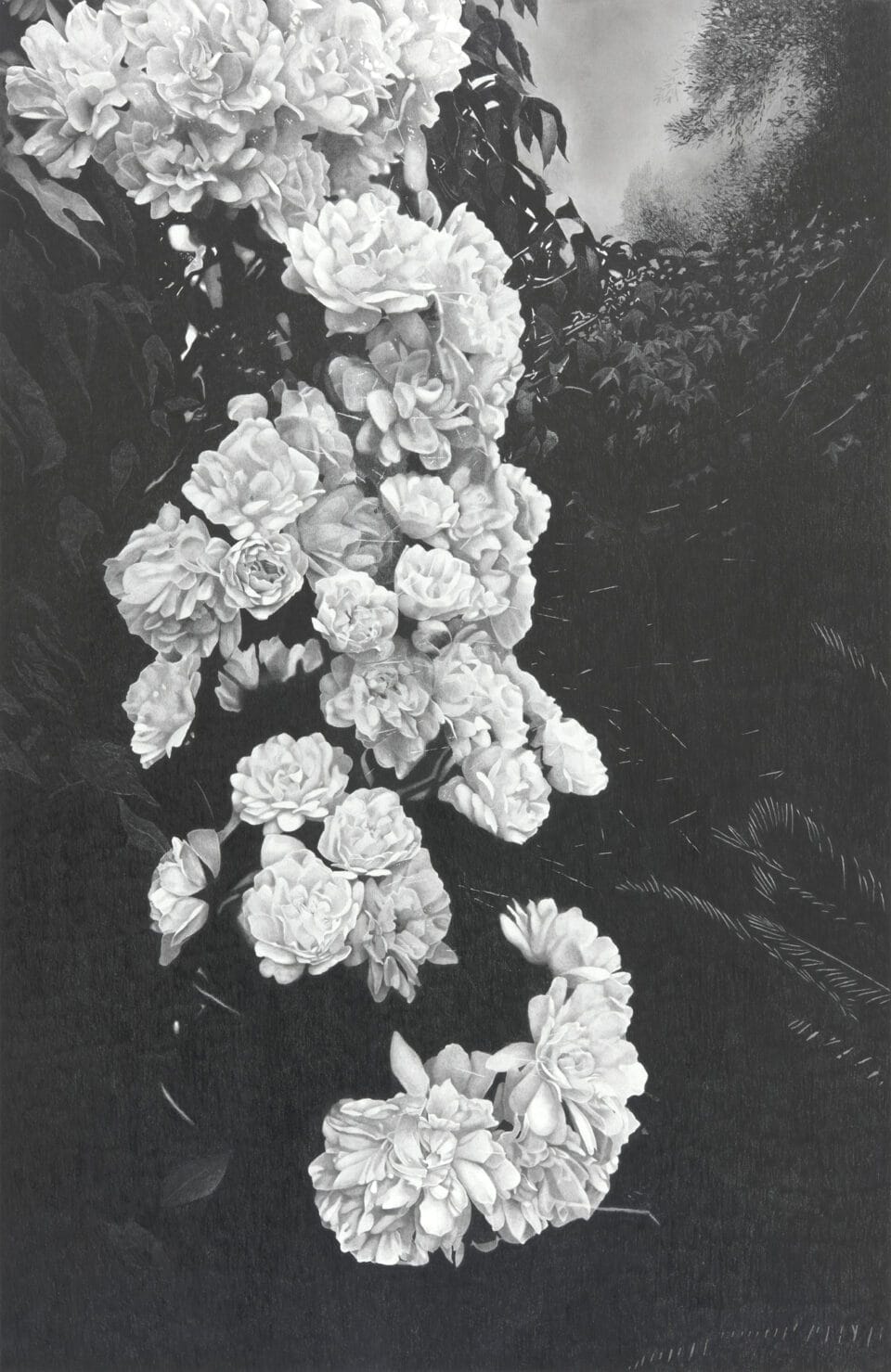 a vertical, detailed, realistic depiction of a bundle of small flowers in graphite