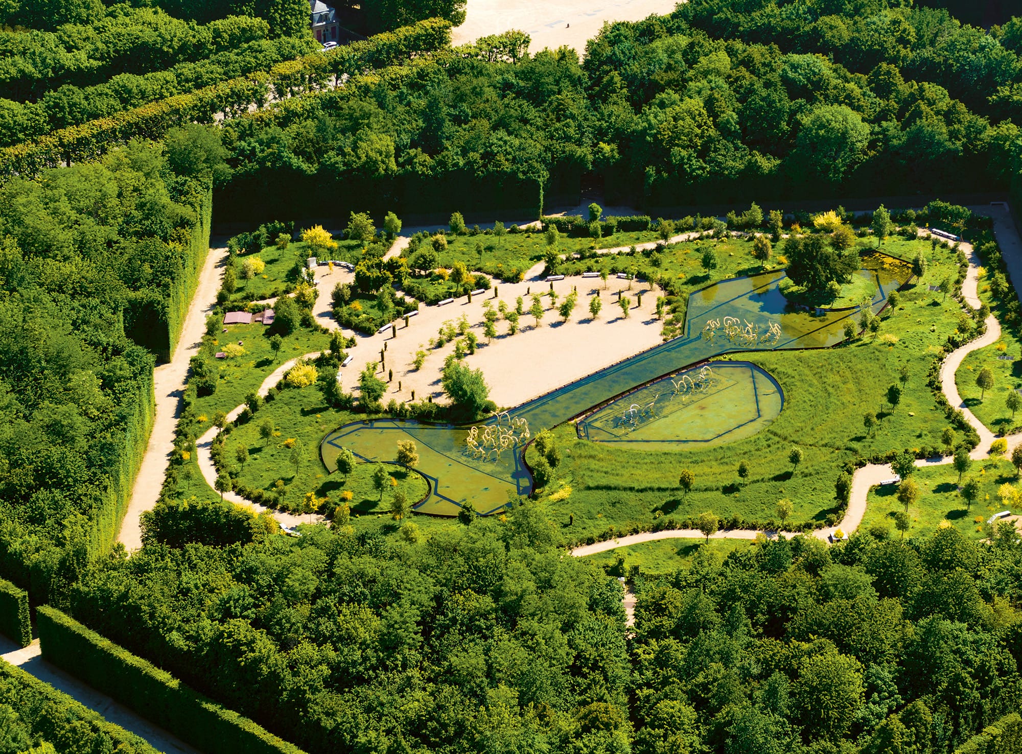 a aerial view of a lush garden with a pond