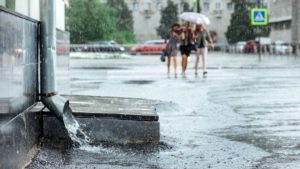 What Can You Do About Nonpoint Source Pollution?