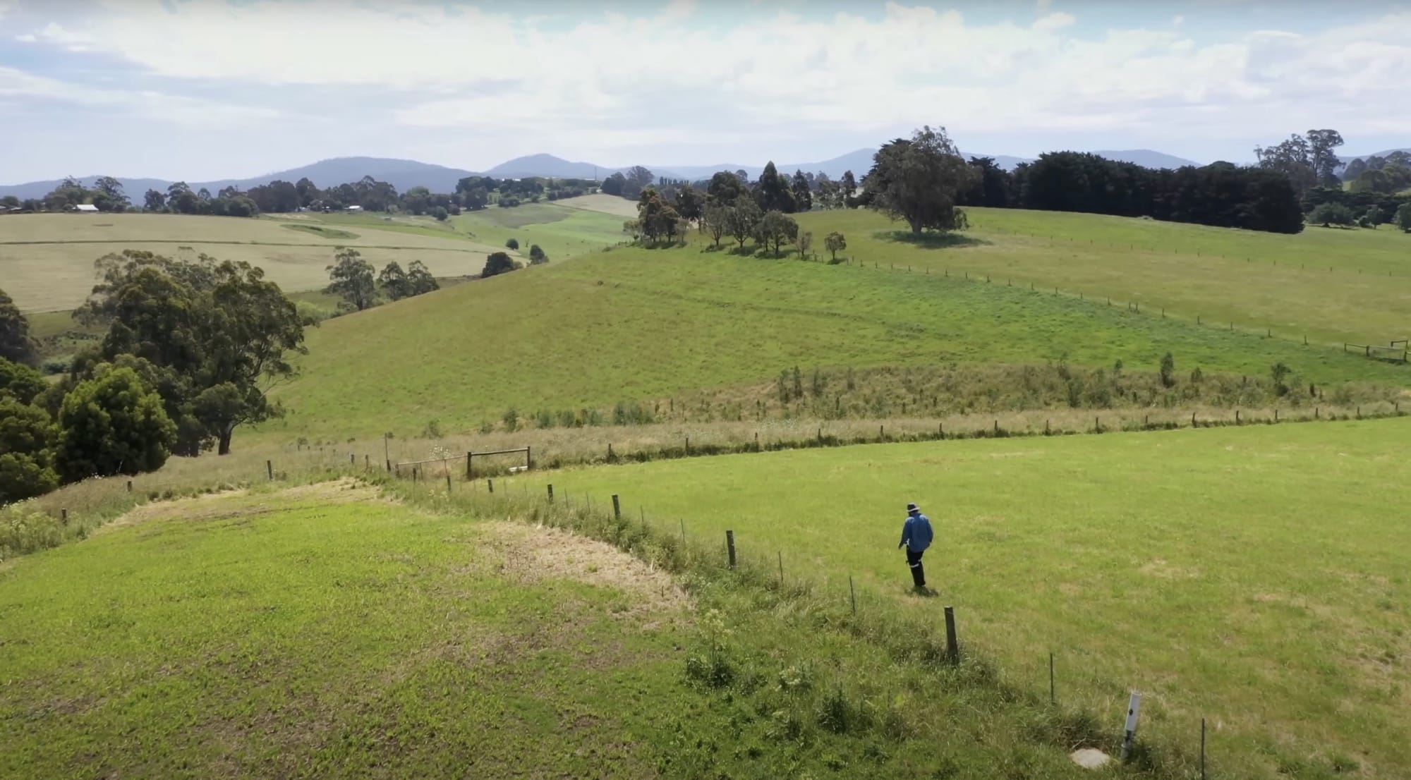 Beau Miles’ Marathon, Single-Day Planting Project Sprouts a New Forest in an Australian Field