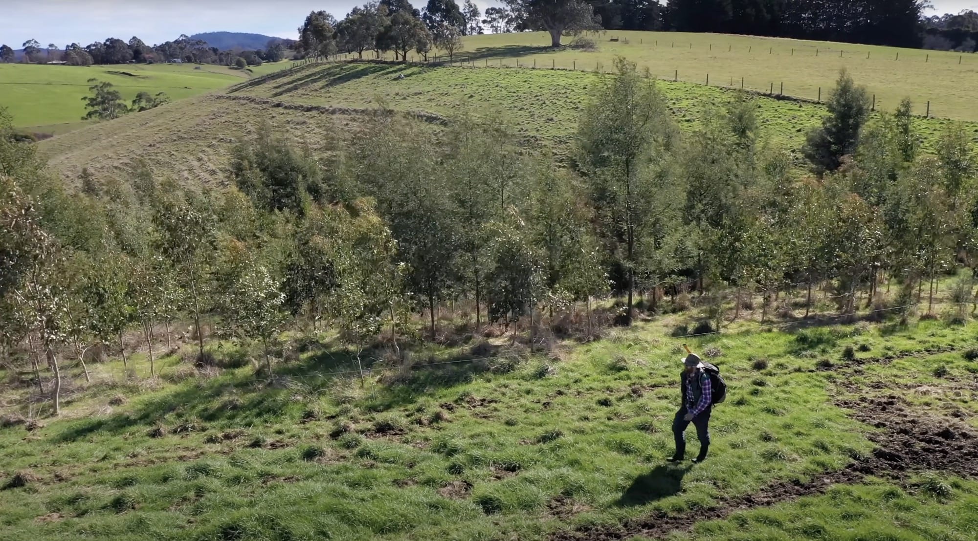 Beau Miles’ Marathon, Single-Day Planting Project Sprouts a New Forest in an Australian Field