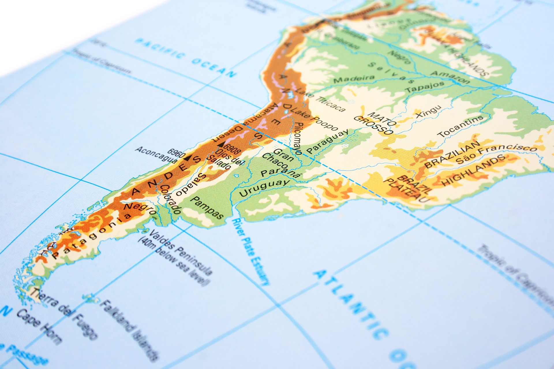 Wildlife of Patagonia: Pumas, Condors and More