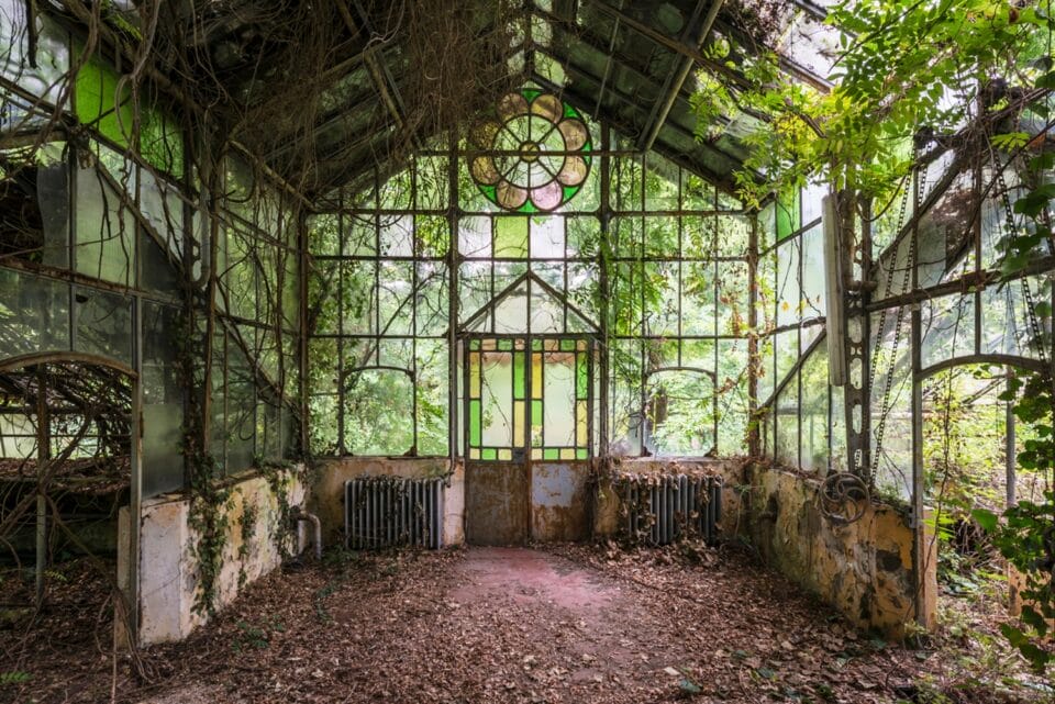 a photograph by Romain Veillon of the interior of an abandoned greenhouse overtaken by dense, rollicking vegetation