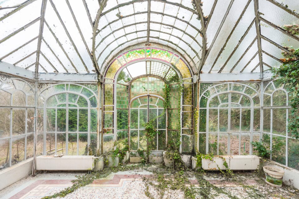 a photograph by Romain Veillon of the interior of an abandoned greenhouse overtaken by dense, rollicking vegetation