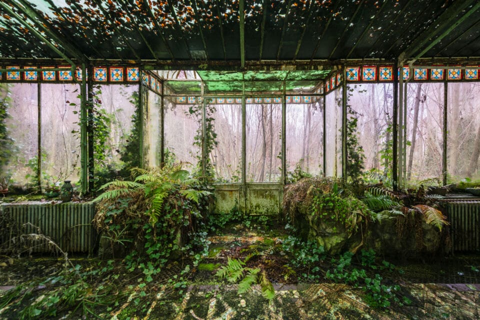 a photograph by Romain Veillon of the interior of an abandoned greenhouse overtaken by dense, rollicking vegetation