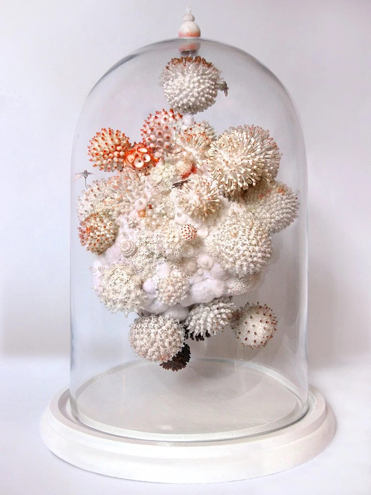 An intricate sculpture inside of a glass dome vitrine by Amy Gross of imaginative flora made from paper and beads