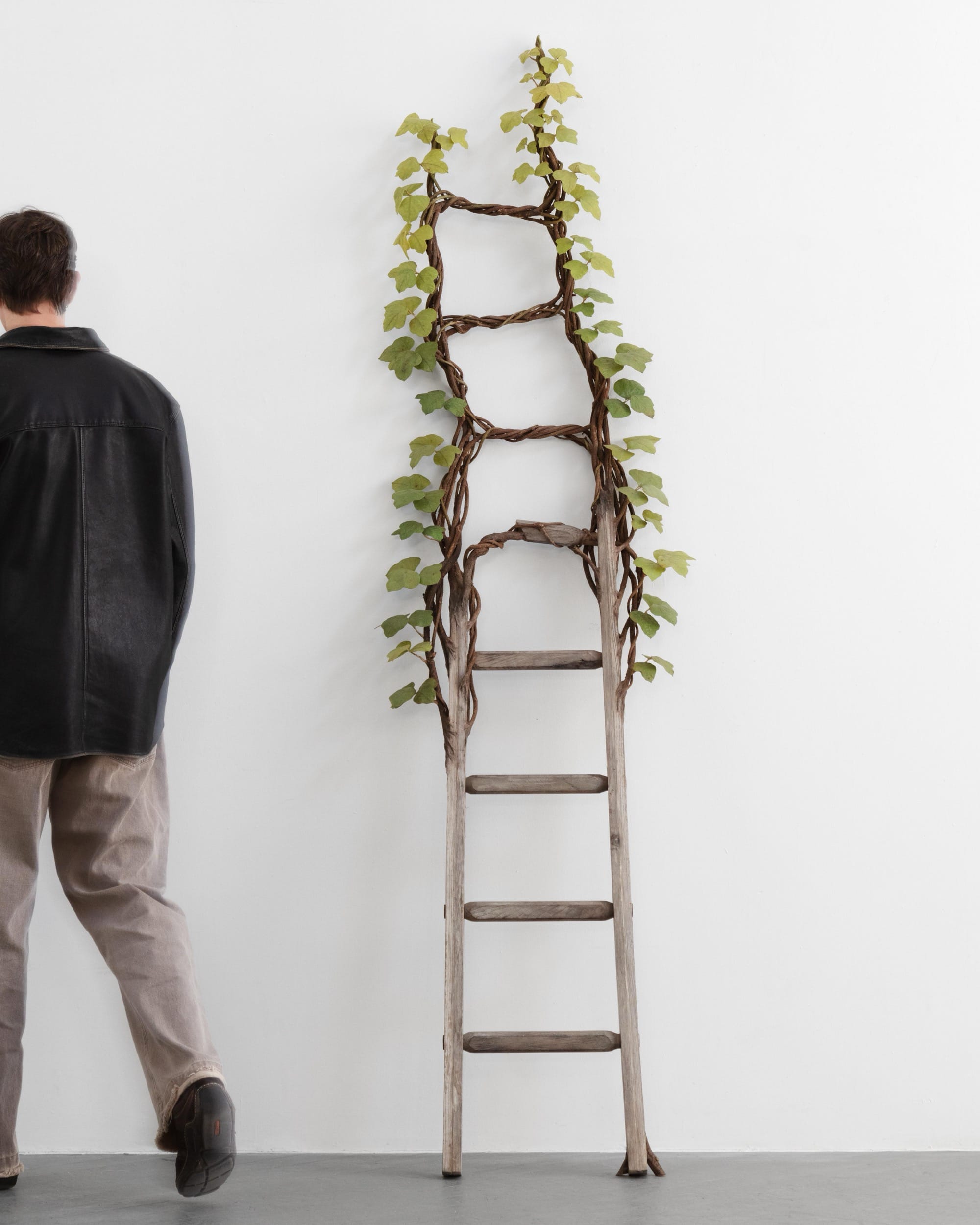 a person walks by a wooden ladder with kudzu leaves on the upper half by Joyce Lin