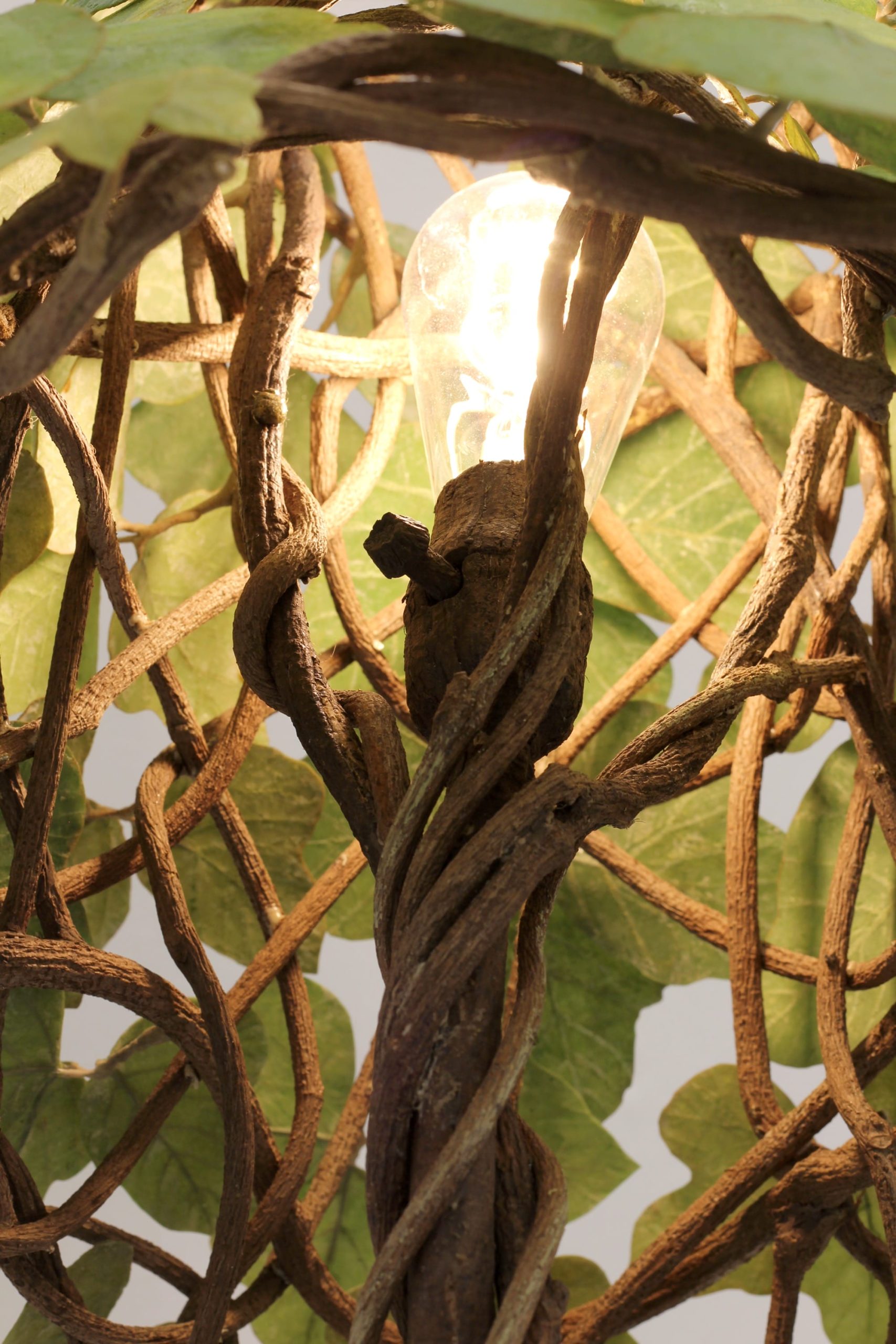a detail image of a floor lamp with kudzu leaves and roots covering the base and shade by Joyce Lin