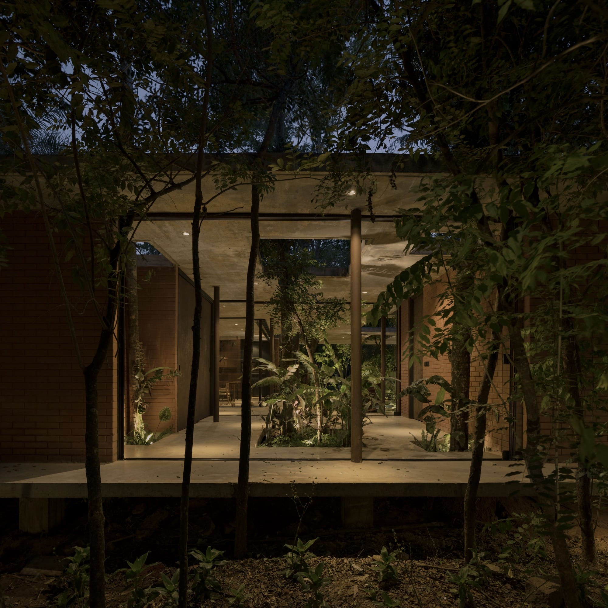 The interior of a contemporary concrete, glass, and steel home amid trees and tropical plants