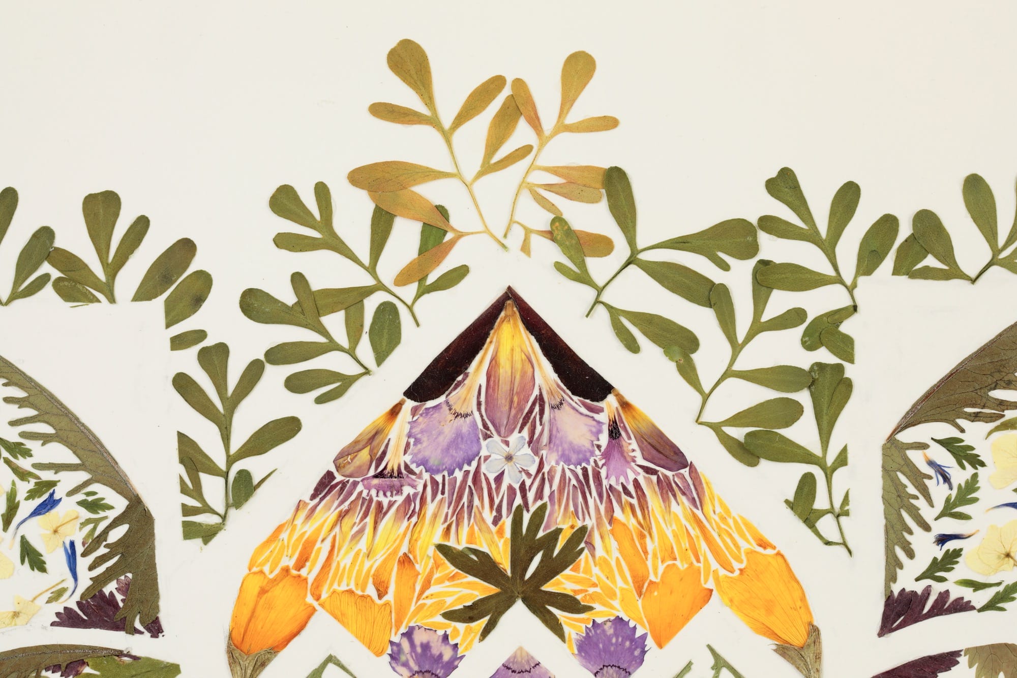 A detail of a mandala-like composition of flower petals and leaves