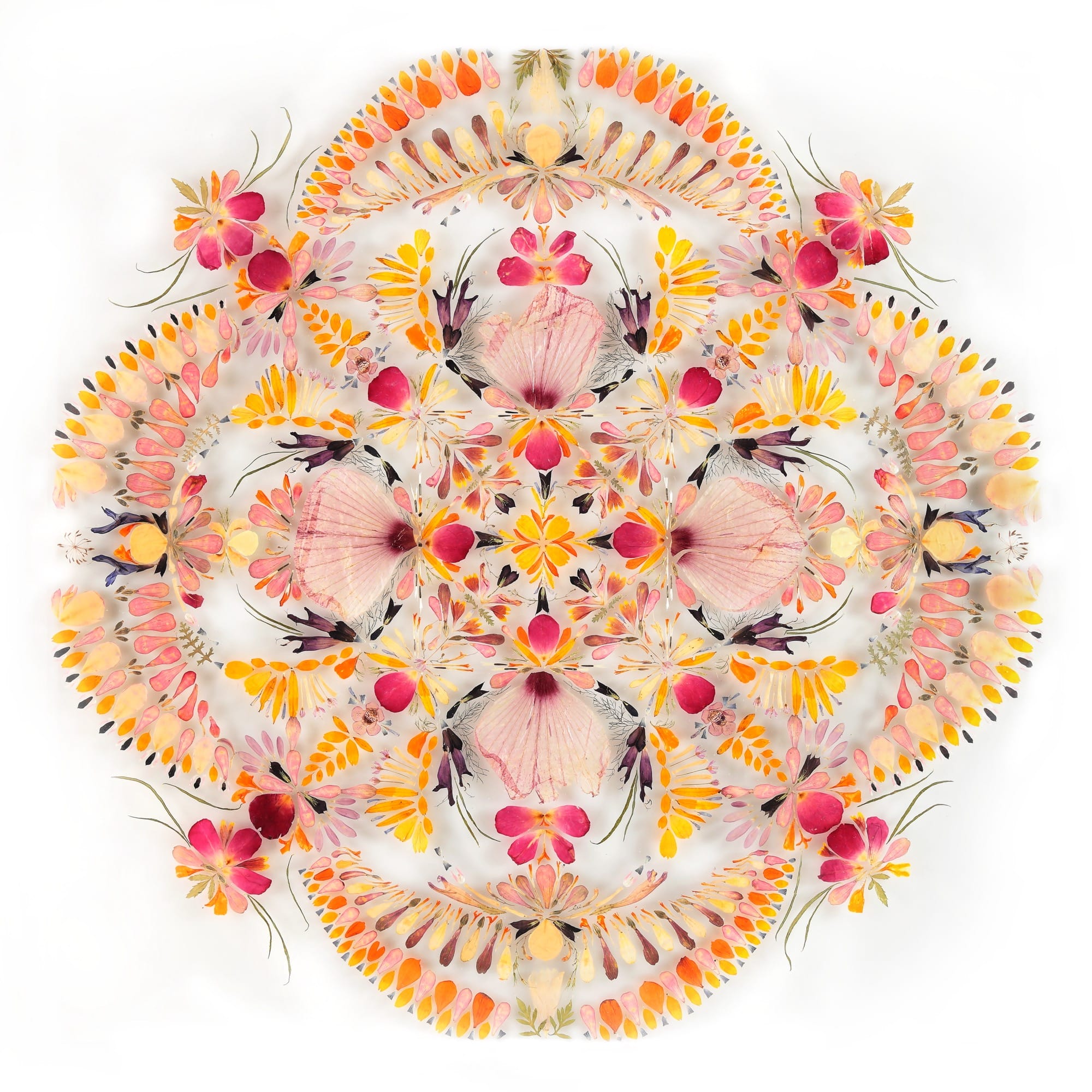 A mandala-like composition of flower petals and leaves