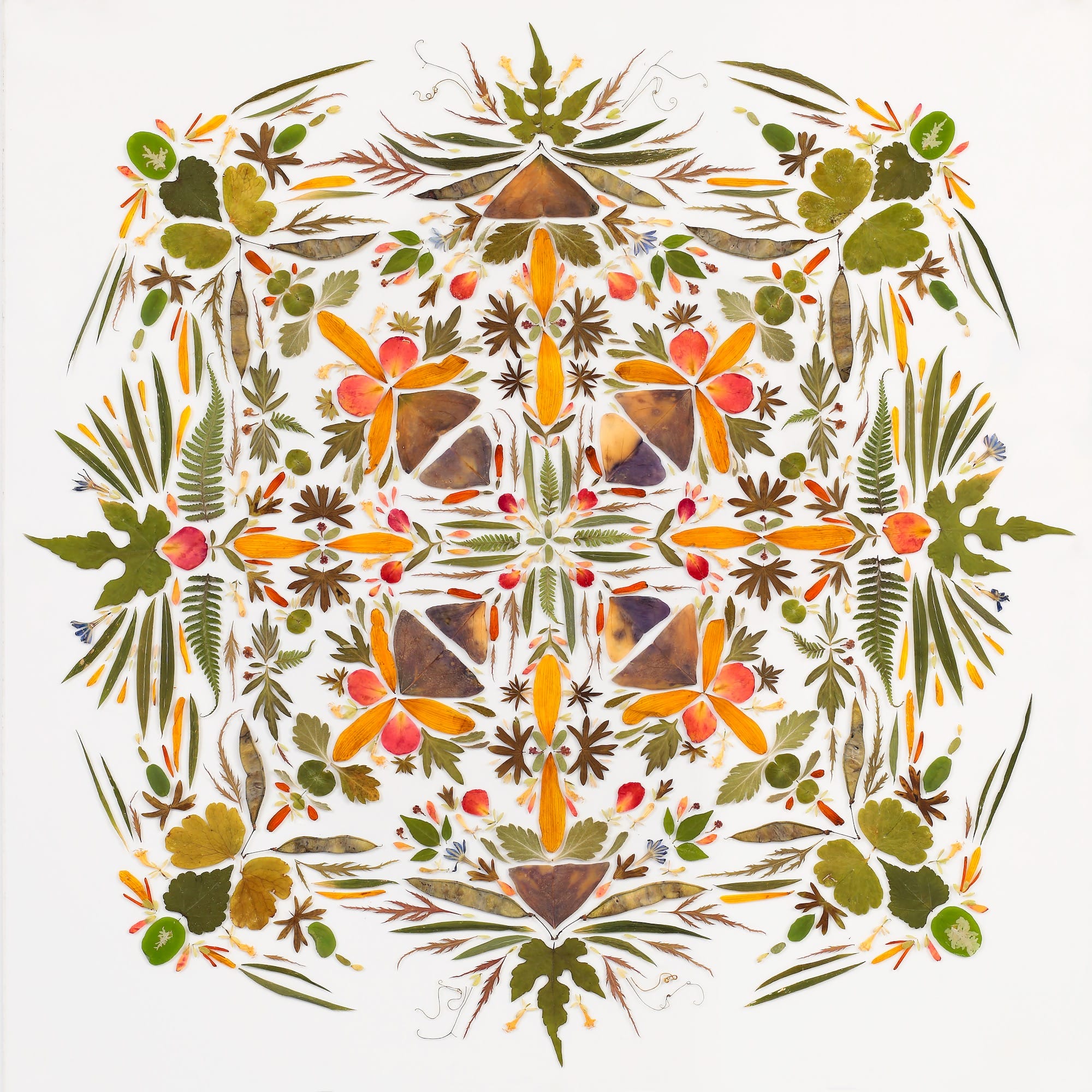 A mandala-like composition of flower petals and leaves